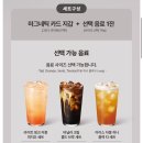 스타벅스 한정판 마그네틱 맥세이프 카드지갑 그린/아이보리 후기