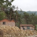 육모정민박 이미지