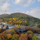 마리포사리조트 | 호텔 &amp; 레스토랑 뷰