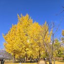 여주-1093 이미지