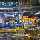 대호수산 이미지