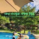 캠프향기