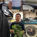 달인세탁소 이미지