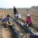 김영배농장 이미지