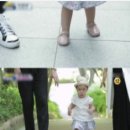 토이조이 이미지