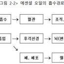 아로마 에센셜 오일의 흡수 기전과 사용 상 주의 사항 이미지