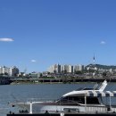 파파쿡스김밥 | 한강달빛야시장 푸드트럭 종류(라인업) 그리고 너무 이쁜 노을~