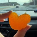 캠프PC방 상대원본점 | 물 보러 맛 보러 떠난 부산 광안리, 해운대 여행