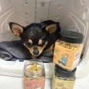 까까마망 이미지