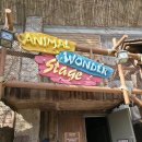 금강슈퍼 | 에버랜드 슈퍼윙스 애니멀톡 공연 후기 좌석 꿀팁 정리