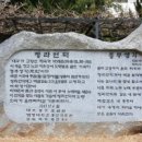 청라푸른담쟁이 이미지