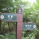 전남 담양군 대전면 (병봉산(보두산).천봉.불태봉) 산행 이미지