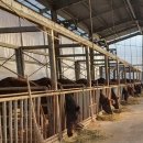 경기도축산진흥센터 이미지