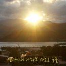 가나안이레동산펜션 이미지