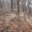 화곡2리 이미지