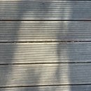 개나리주유소 | 양주 캠핑장 신암저수지 숲속야영장 명당 추천 데크 D7 후기