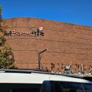 사북초등학교 자전거 정문 옆 | [파주] 당일치기 &#34;한국근현대사 박물관&#34; 부모님과 관람후기