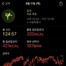 저녁요가 이미지