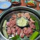 길동무 11월 4주차 벙개 | 11/28(금) 불광천~ 걷기 이미지