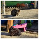 유명산둥지 이미지