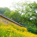 경상남도 장애인 거주시설 현황, 지체장애인, 장애영유아시설, 지적장애인 거주시설, 장애인 공동생활시설