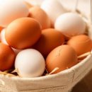 계란 문제, 좋은 계란 고르는 법과 보관법을 알아보자. 이미지