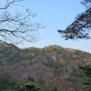 재매정길 이미지