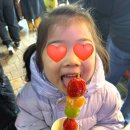 두꼬마탕후루 네이버블로그