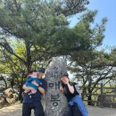 매봉(1) | 청계산 매봉 8개월 아기와 완봉 후기🌸🐥총 4시간 걸린 청계산1코스(서초)