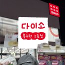 수원-1008 | 북수원 다이소 2호점 방문 후기 I 다이소 꿀템 I 말랑이 키링 I 솔토리의 기록 일지
