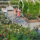 장미정원 이미지