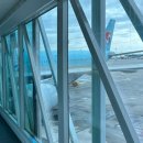 457 | 다낭행 대한한공 KE457 탑승 후기 +기내식, 인천공항 2터미널 텍싱5, 보조배터리 규정