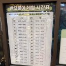 반딧불이 | 스타필드 하남 X 유투버 다흑의 반딧불이 팝업 스토어 방문 후기