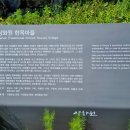 한국식 전통정원 상화원(尙和園) 이미지