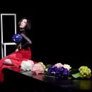 한국현대춤협회 이미지