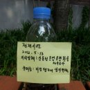 동영석유
