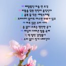 늘우리세탁소 이미지