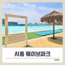 진솔수중레저샵 | 시흥 웨이브파크 캠핑, 서핑, 수영장 휴양지 감성 물씬!