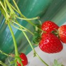 (주)시흥서비스센타 이미지