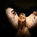 프로스펙스상설할인매장 이미지