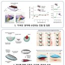 씨앗108