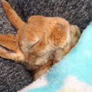 명수농장 이미지