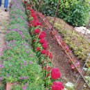 재동농장 이미지