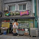 몽몽이 애견미용 이미지