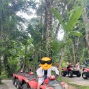 기서농장 | 2발리 3일차(우붓 ATV+래프팅 투어/피자/멕시콜라/올드맨)