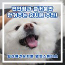 멍 핏 스튜디오 이미지