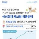 위풍댕댕 이미지