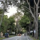 베네치아별이음식 | 04. 베네치아에서 피렌체 기차 타기 (리도 섬 강추, 안다베니스, 메스트레 젤라또)