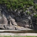 소호 숲 이미지