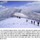 출발확정 [울산안내산악회] 1월25일(토) 계방산 환상의 눈꽃산행 이미지